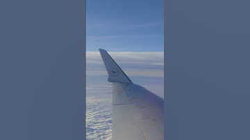 Cut. Fold. Fly. ✈️ A journey told in edges, layers, and motion.