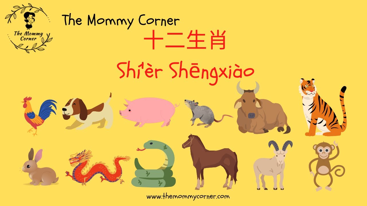Learn Chinese for Kids | Chinese Zodiac Animals in Mandarin | 十二生肖 | The Mommy Corner