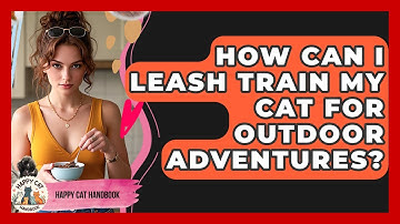 How Can I Leash Train My Cat For Outdoor Adventures? - Happy Cat Handbook