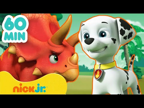 Щенячий Патруль | 60 Мин. Новых Серий Щенячьего Патруля! | Nick Jr. Cyrillic