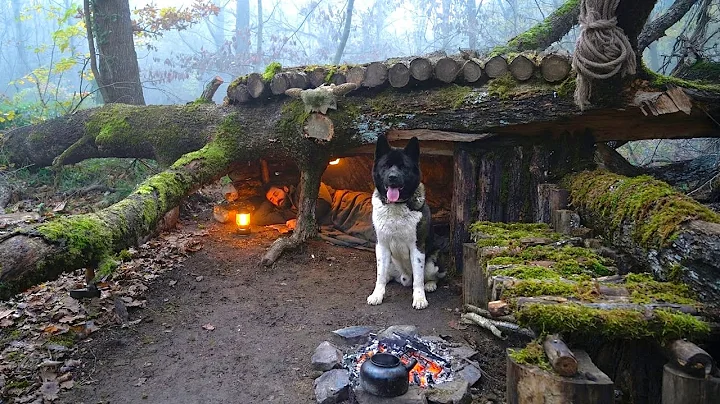 Building a Secret Dugout Under Fallen Tree for Survival. Bushcraft Shelter Camping