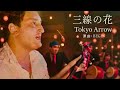 三線の花 – BEGIN【全楽器カバー】Tokyo Arrow