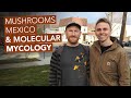 Mushrooms, Mexico, & Molecular Mycology with Alan Rockefeller