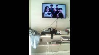 Nintendo Sound Effect (Acapella)