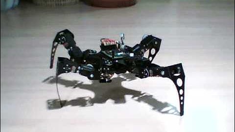 Quadruped robot long step walking