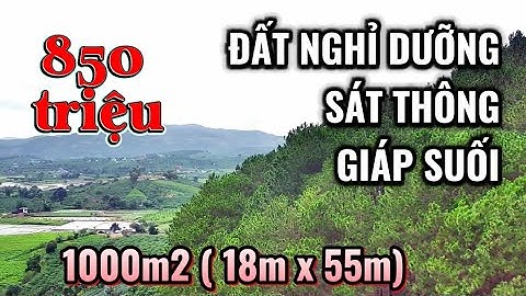 284| (đã bán) ĐẤT NGHỈ DƯỠNG GIÁP SUỐI – SÁT RỪNG THÔNG – 1000m² CHỈ 850 TRIỆU! Bds ven Đà Lạt