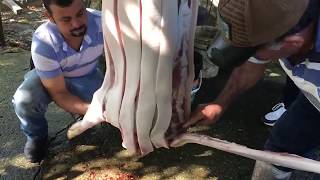 Como fazer torresmo PASSO A PASSO Como fazer torresmo em casa