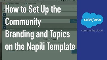 How to Set Up the Community Branding and Topics on the Napili Template