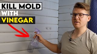 How to use Vinegar to Kill Mold, Amazing Results!