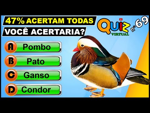 Quiz de Futebol - Página 69