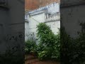 rain🌨🌧