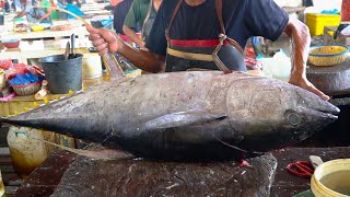 I Spent 10 Years Perfecting My Fish Cutting Technique And Here's What I Learned || FISH CUTTING