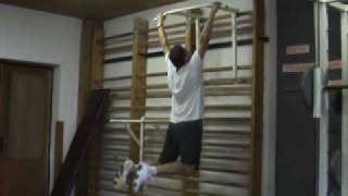 Zhyby na hrazde_xvid.avi