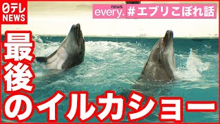 【感動】歴史に幕…集大成のパフォーマンス　油壺マリンパーク【こぼれ話】