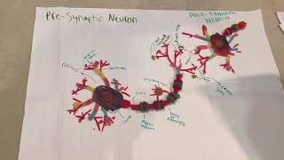 Candy Neuron