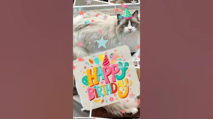 Video 8845181: cat kitten kitty, purebred cat