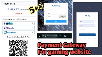 lgpay Sunpay watchpay rspay bsdpay 5+ chinese payment gateway avilable payment collection upi