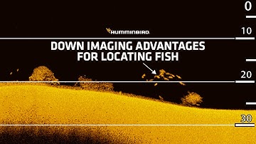 Down Imaging Advantages for Locating Fish