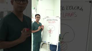 Pilihan Di Tangan Anda Sdanai Bila Nk Dibeban Dengan Masalah Asyik Ulang Alik Ke Tandas