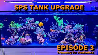 SPS Tank Upgrade, Ep. 3: Trimming for Aesthetics