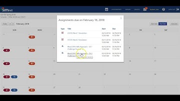 SIMnet Assignment Extension