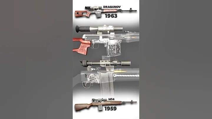 Rifle 1959–1963 | M14 rifle x Dragunov