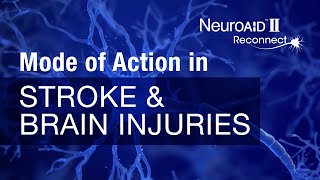 NeuroAiD - Mode of Action - Stroke & Brain Injuries