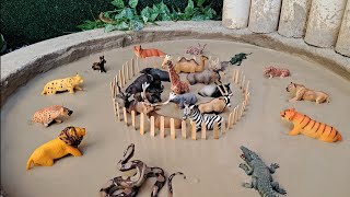 Animais na Lama | Uma Grande Aventura – História Infantil 