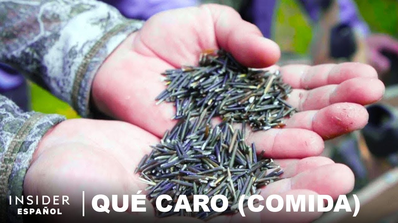 Por qué el arroz salvaje manoomin es tan caro | Qué caro (comida) | Business Insider