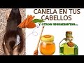 😍💋Mezcla canela con estos ingredientes y aplícalos en tu cabello. ¡Te sorprenderás!