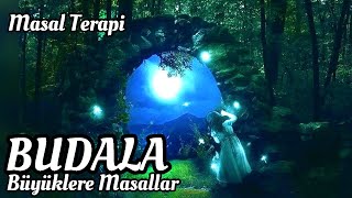 BUDALA-Büyüklere Masallar-Masal Dinle-Masallar-Sesli Kitap-Masal-Uyku Masalları-Peri Mia Masalları