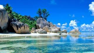 Lexic Feat. Steffse -The Beach-