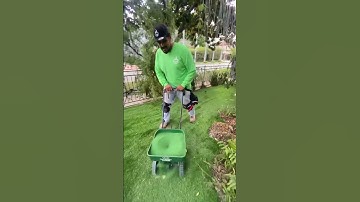 Backyard Install #artificialgrass #artificialturfinstallation #fakegrass