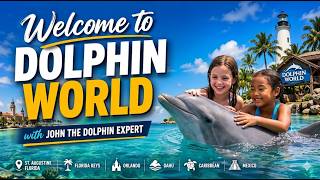 Swim with Dolphins YouTube Guide | John the Dolphin Expert