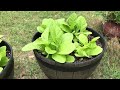 The Tobacco Garden Is Going To Be Alright