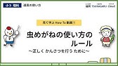 Dvd 小学校理科dvdシリーズ 3年 3 太陽のうごきと地面 かげと太陽 日なたと日かげの地面 Youtube Dvd 小学校理科dvdシリーズ 3年 3 太陽のうごきと地面 かげと太陽 日なたと日かげの地面 Youtube