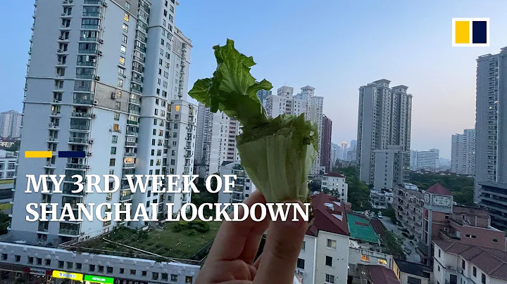My take: living under Shanghai’s Covid-19 lockdown - DayDayNews