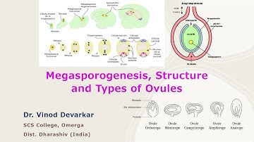 Megasporogenesis, Structure and Types of Ovules by Dr. V. D. Devarkar