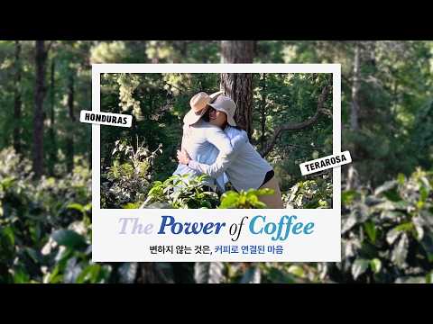 테라로사 광화문점