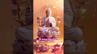 ngẫm 🪷 #tamtrang #tubi #phattu #phatgiao #phatphap #samhoi #hanhphuc #trietlysong #anvui #tritue #