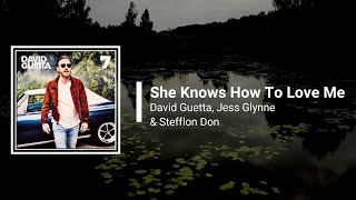 David Guetta - She Knows How To Love Me ft. Jess Glynne, Stefflon Don (Lyrics)