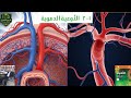 الاوعية الدموية شرايينك وأوردتك الطريق السري لحياة قوية أحياء الصف العاشر 