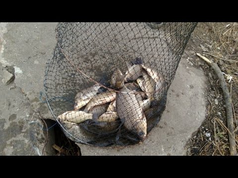 თევზაობა მარაბდას ტბაზე