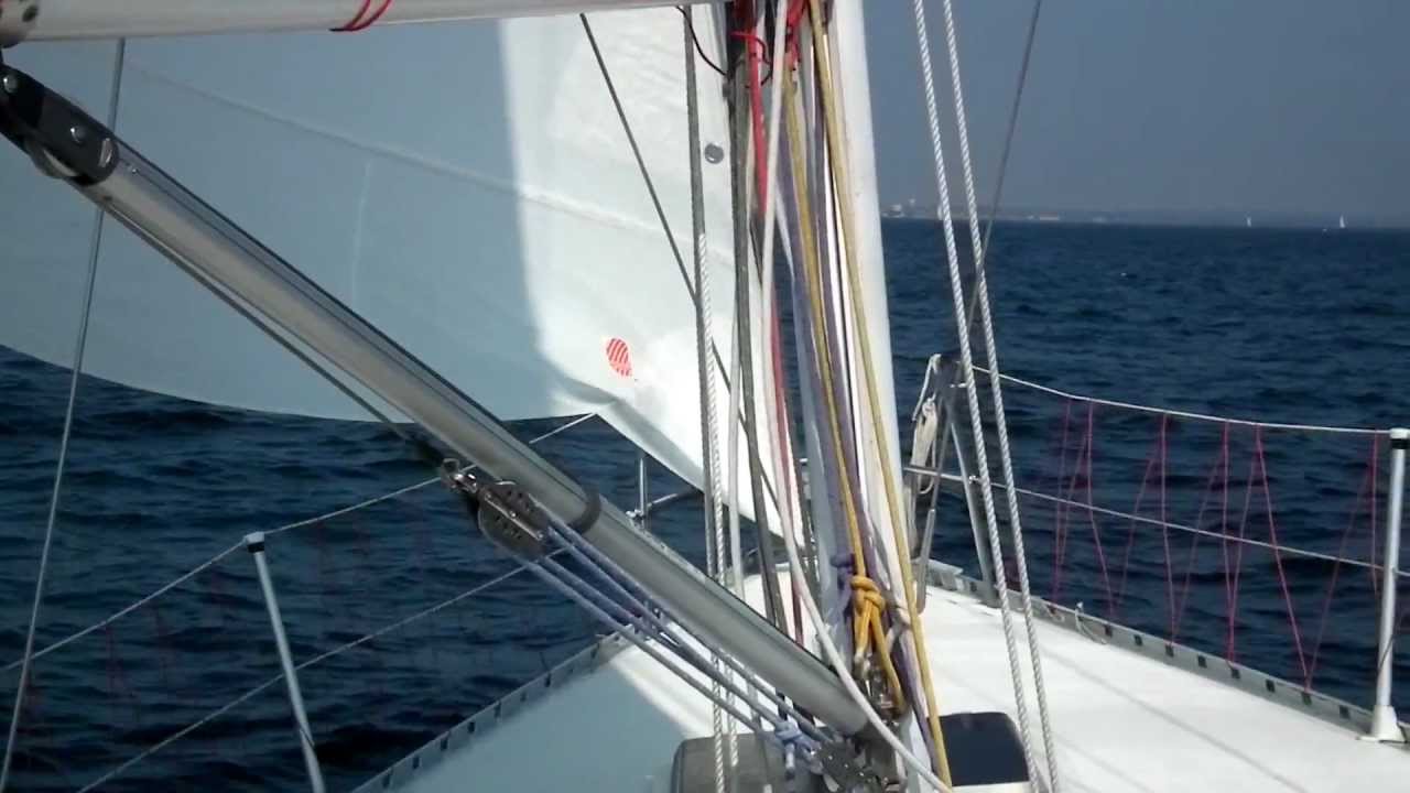 tailwind 36