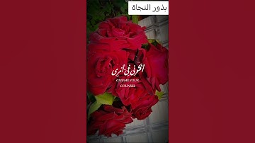 سورة النمل قَالَتْ يَا أَيُّهَا الْمَلَأُ إِنِّي أُلْقِيَ إِلَيَّ كِتَابٌ كَرِيمٌ  #لايك #اكسبلور
