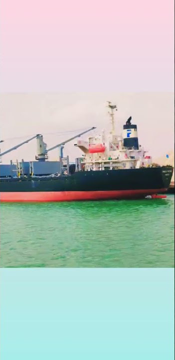 #marchant_ #status#sealifestyle