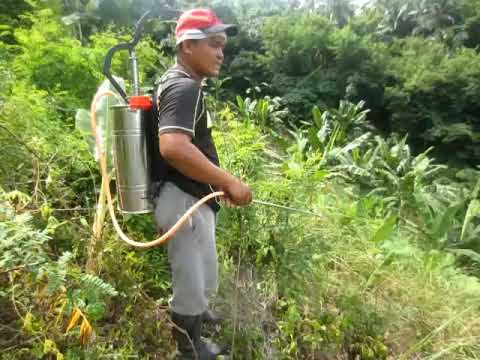 Video: Paano Magbukas Ng Bukirin Ng Magsasaka