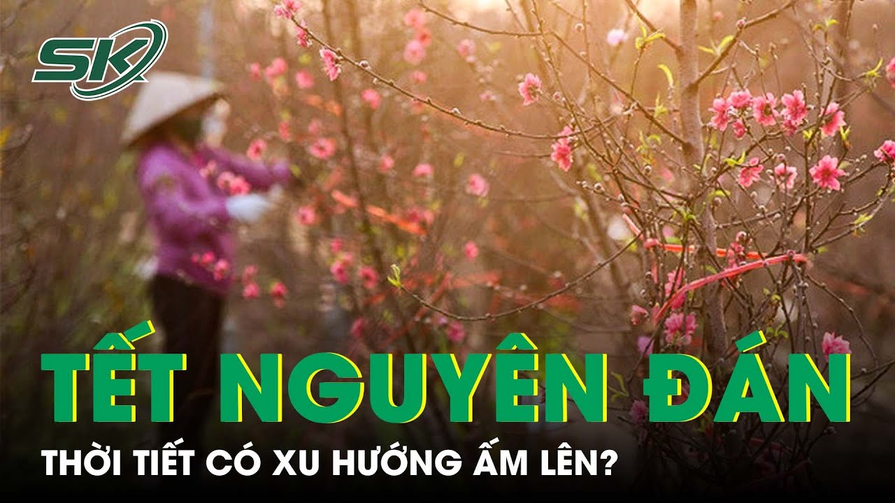 Dự Báo Thời Tiết Tết Nguyên Đán 2023: Nhiệt Độ Miền Bắc Có Xu Hướng Ấm Lên? | SKĐS