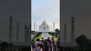 Mesmerizing Beauty of Tajmahal #youtubeshorts #shorts