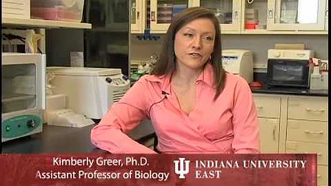 IU East Faculty Excellence Video - Kim Greer